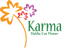 Karma Logo